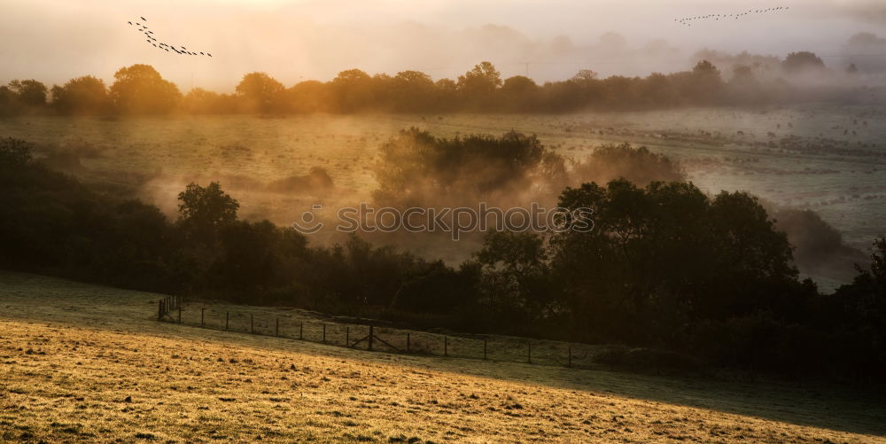 Similar – Foto Bild Sonnenaufgang im Allgäu