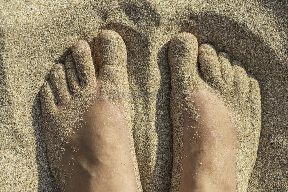 Similar – Feet in the sandy beach