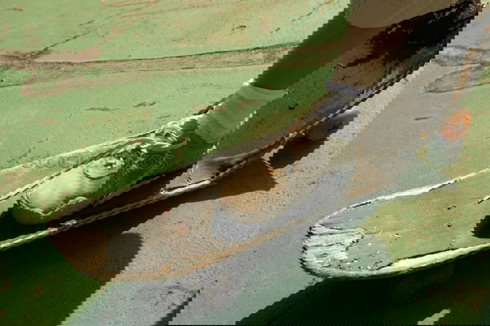 Similar – Foto Bild Wasserspiel Wiese