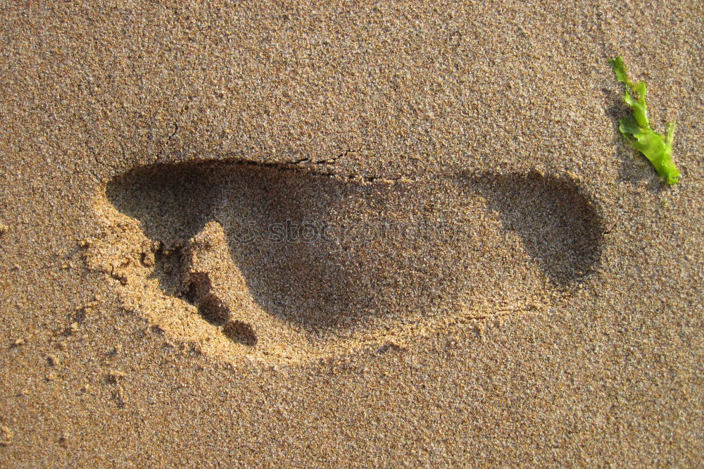 Similar – Sand in den Schuhen