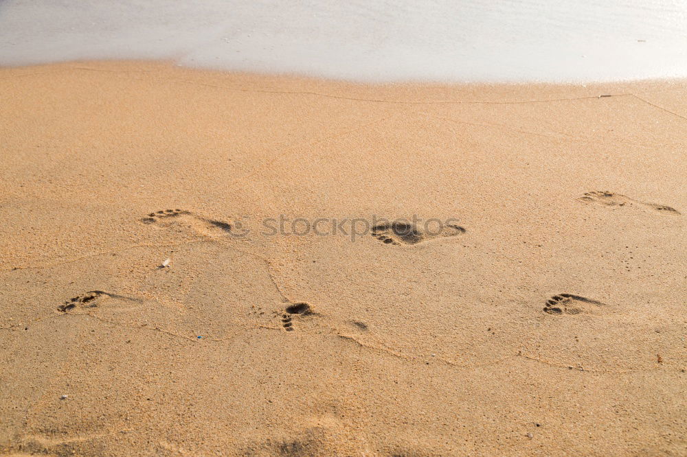 Similar – Image, Stock Photo Buffing Wheel II Nature