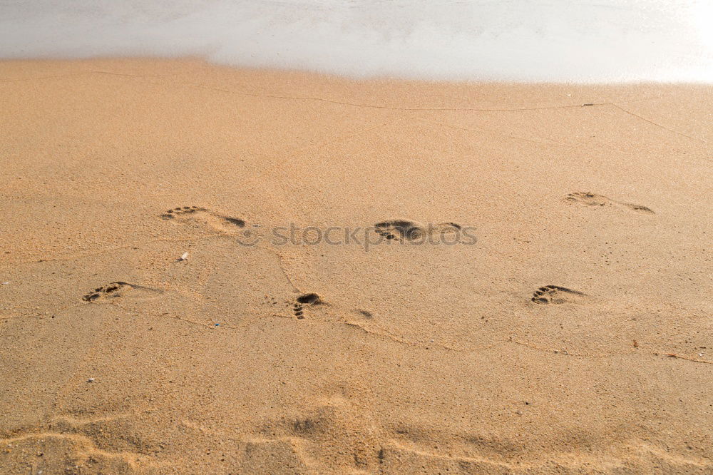 Similar – Image, Stock Photo Buffing Wheel II Nature