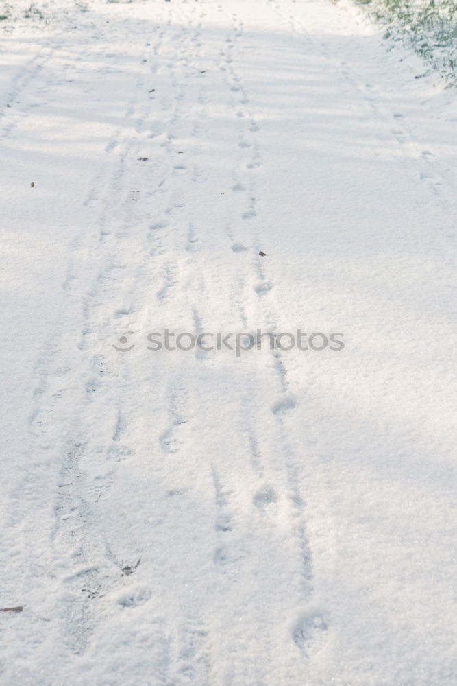 Similar – Image, Stock Photo Sandspiel. Environment