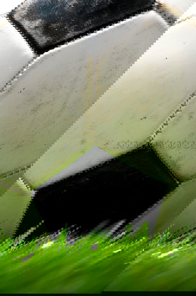 Similar – Image, Stock Photo Season has begun Grass