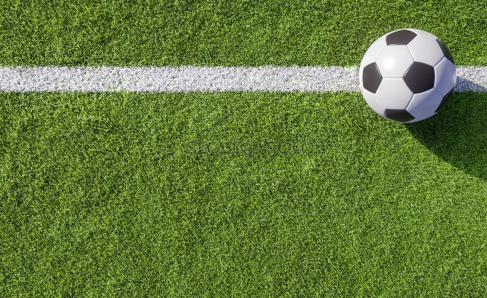 Similar – Vintage soccer ball on green grass over the white line