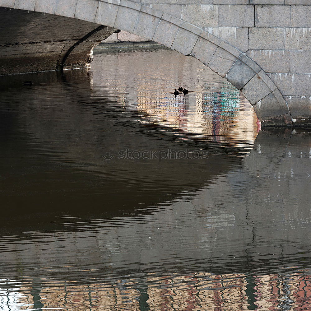 Similar – Foto Bild Todesbrückle dunkel Bach