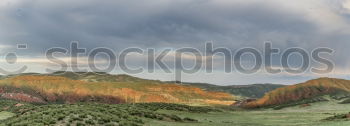 Similar – Image, Stock Photo Black Forest Hills