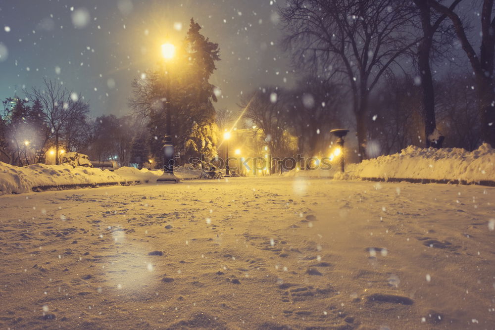 Similar – Image, Stock Photo Heavy snowfall on Christmas and the people on the streets