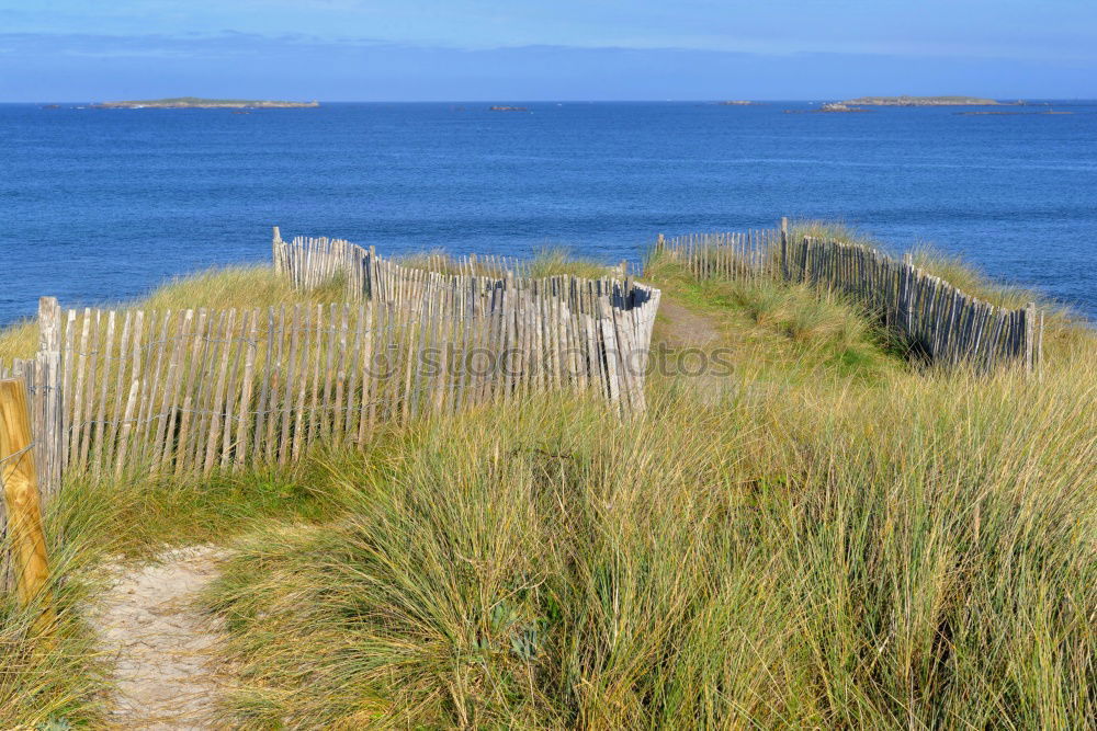 Similar – Image, Stock Photo Beach chair whispering