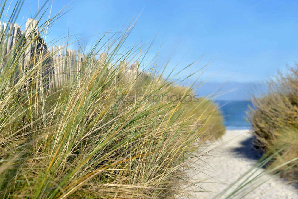 Similar – Playa de Valdoviño (España)