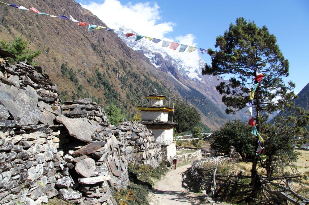 Similar – Buddhist prayer flags flowing in the wind in Himalayas