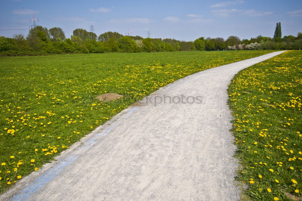 Similar – the old street Environment