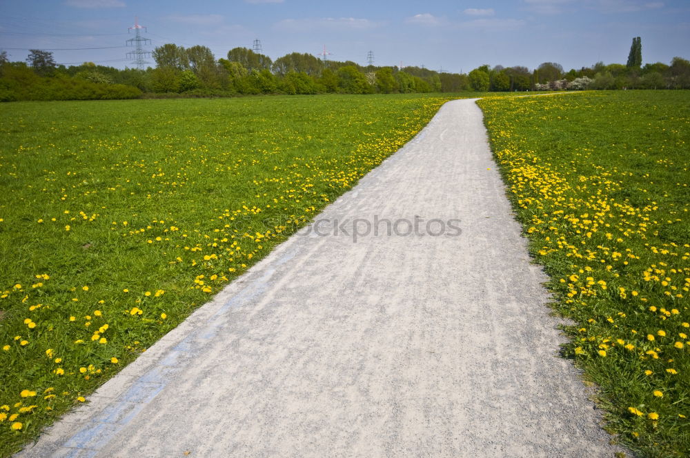 Similar – Herbsttraum ruhig Feld