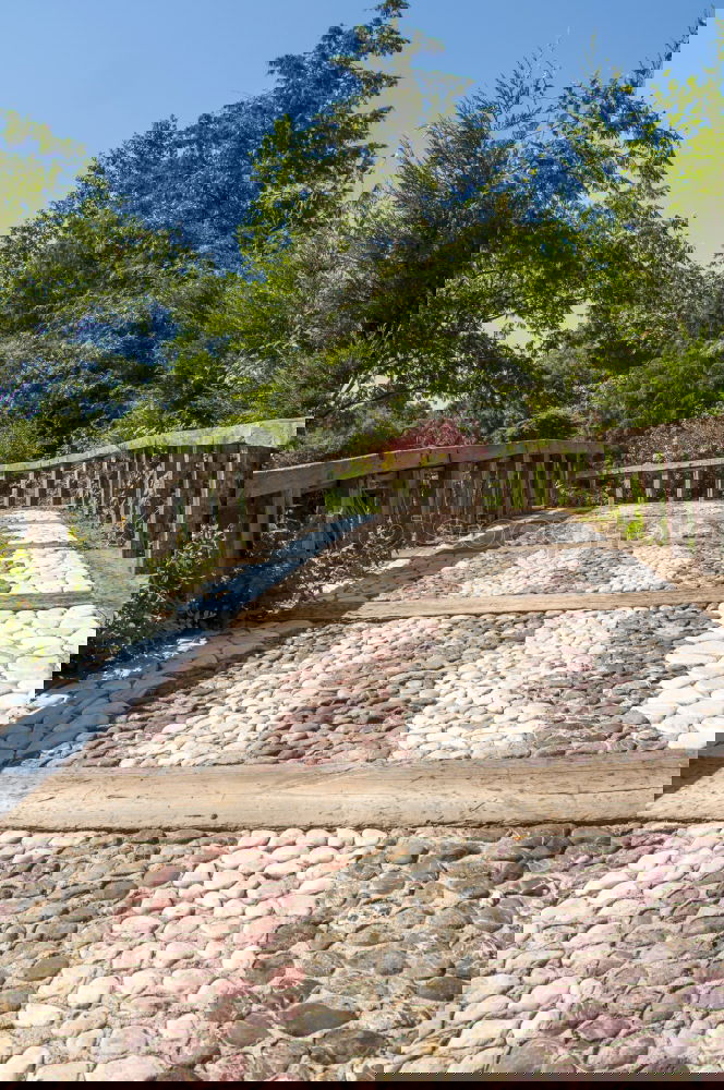 Similar – Image, Stock Photo Next to the track Wood