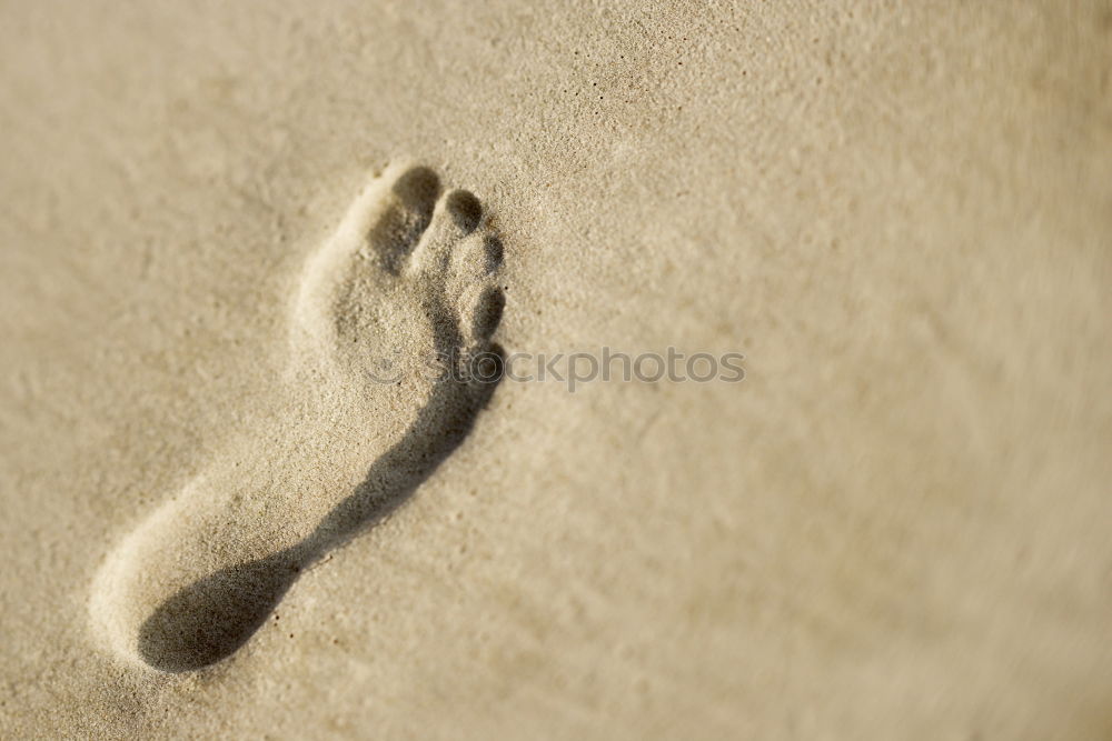 Similar – Traces in the sand Beach