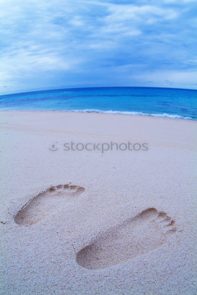 Similar – beach Footprint Barefoot