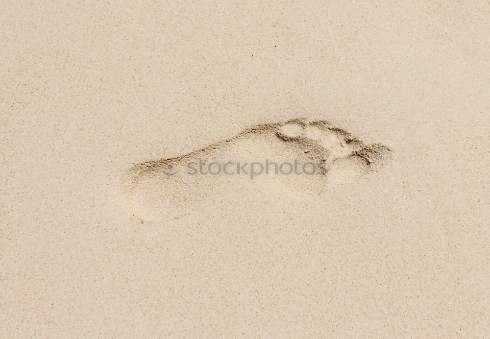 Similar – lines in sand Sand