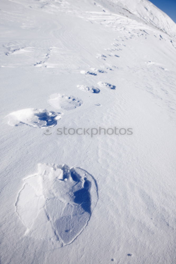 Similar – Die dritte Spur Skifahren