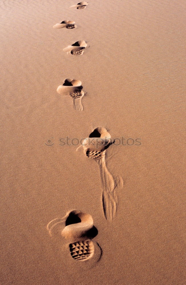 Similar – ::: Traces in the sand :::