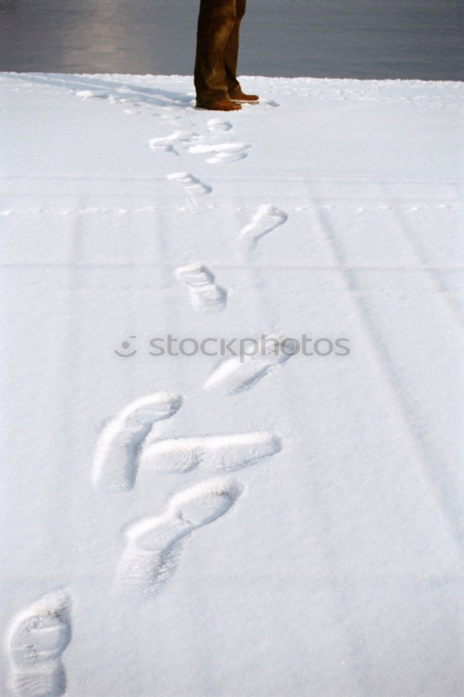 Similar – Image, Stock Photo é France Institut Français