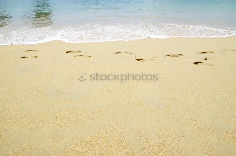 Similar – beach Footprint Barefoot