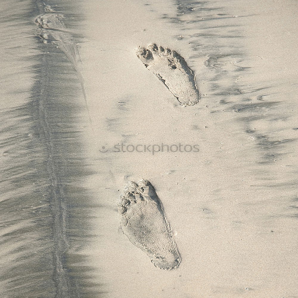 Similar – Image, Stock Photo Footprint in the sand Traces in the sand