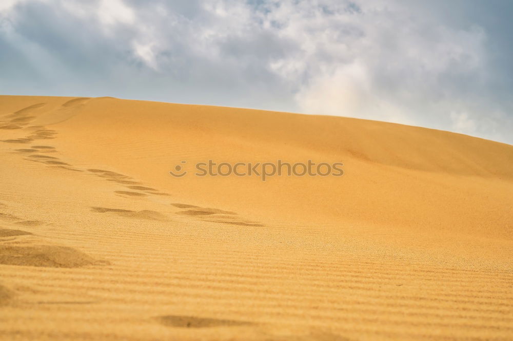 Similar – Image, Stock Photo Sahara in Morocco