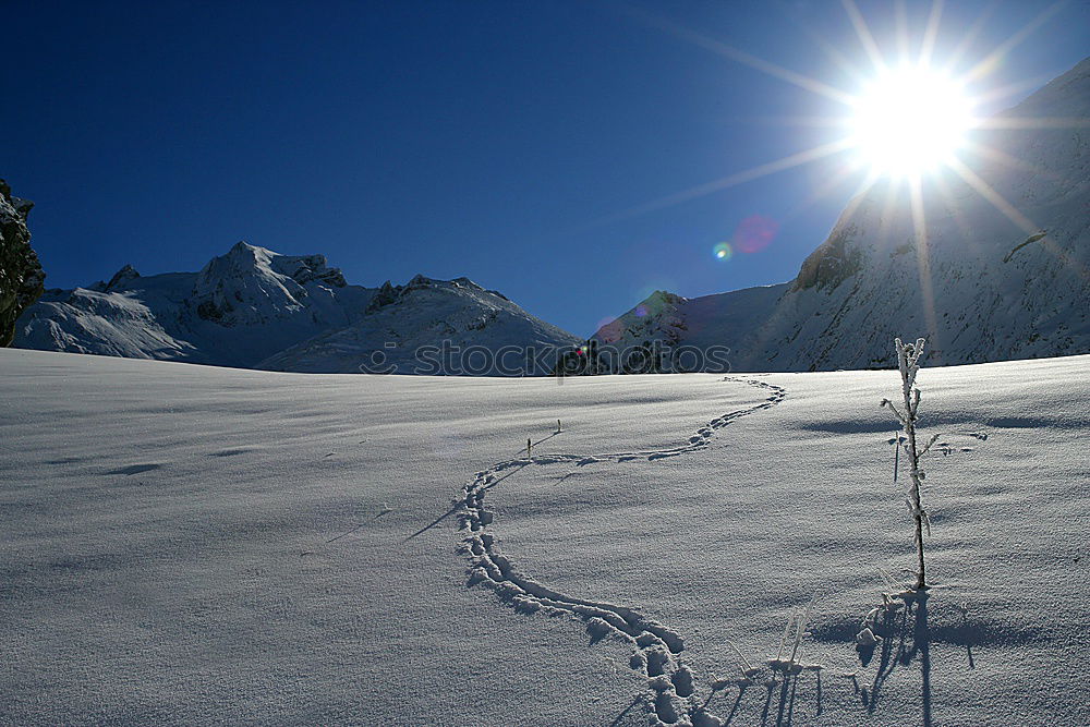 Similar – Gegenlicht Kunstschnee