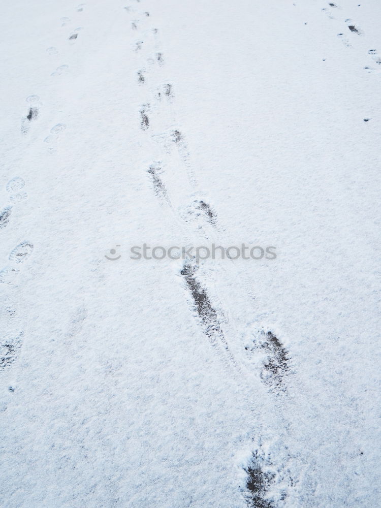 Similar – in twos Barefoot Catwalk