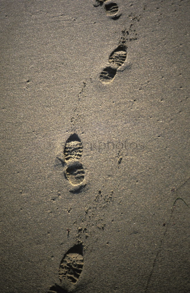 Similar – Barfuß Sommer Wasser