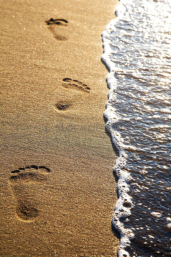 ::: Traces in the sand :::