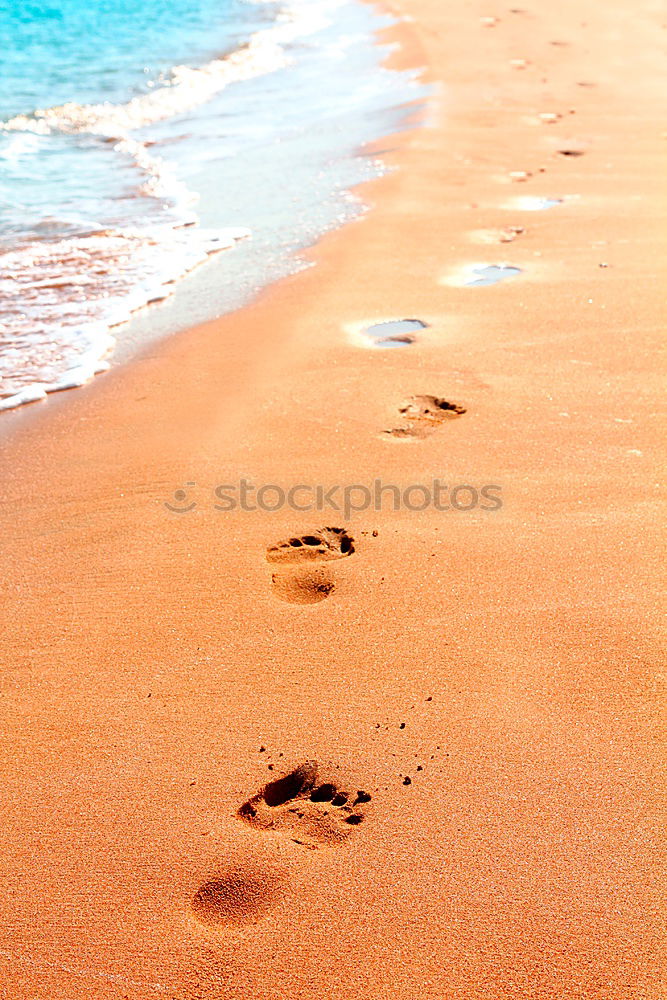 Similar – Image, Stock Photo beach sand walk Beach