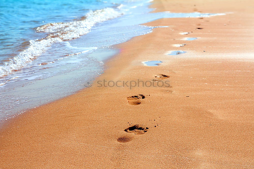 Similar – beach Footprint Barefoot