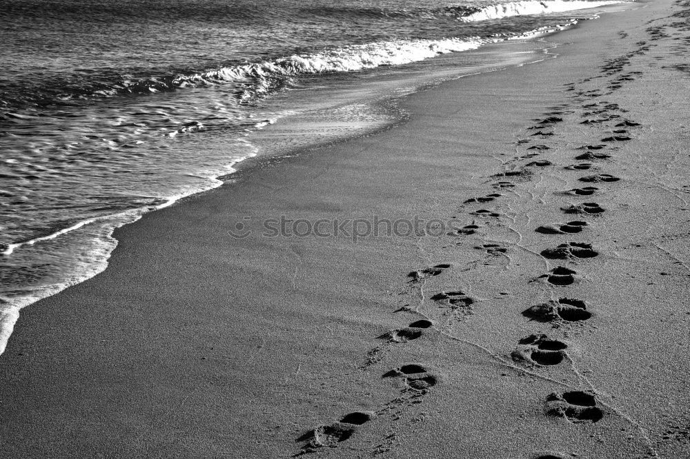 Similar – Image, Stock Photo leave traces Sea water