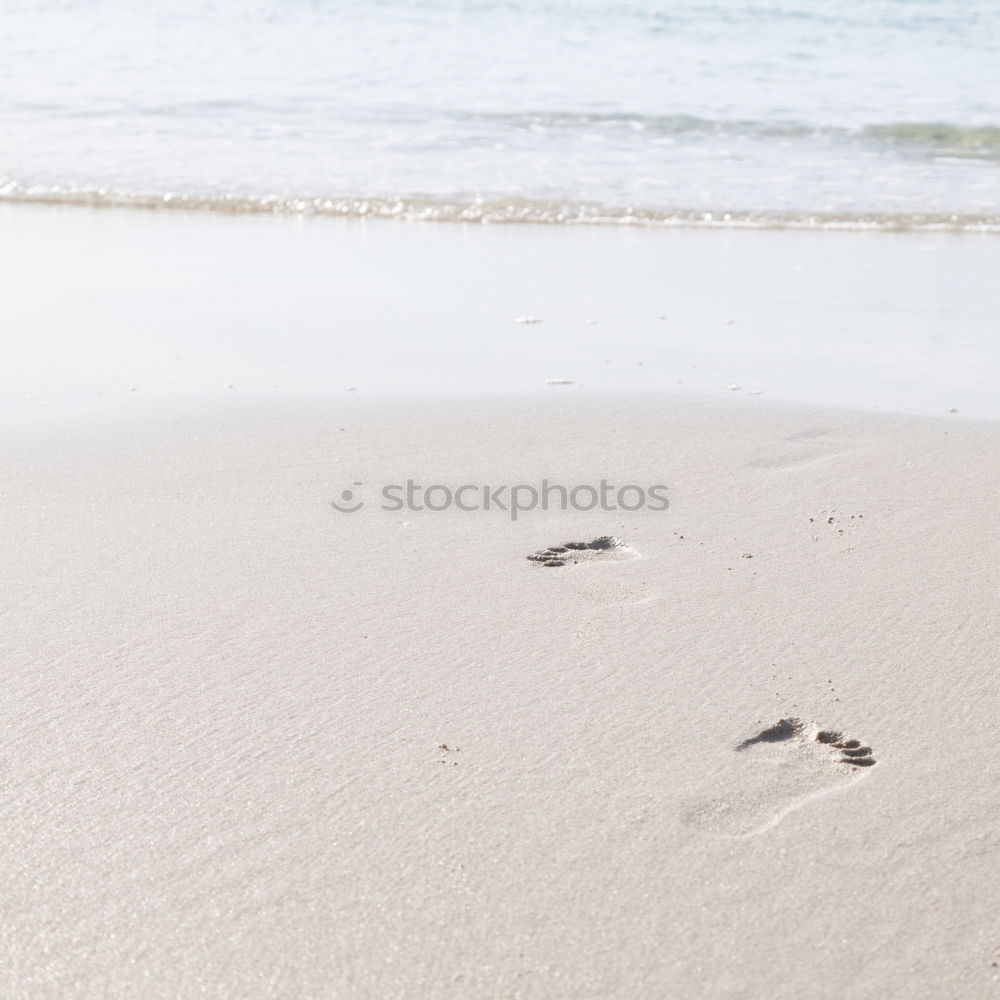 Similar – stinkstiefel? Strand