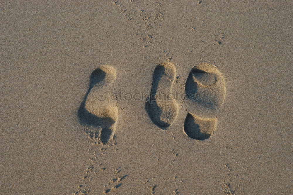 Similar – Carribean Footprints Beach