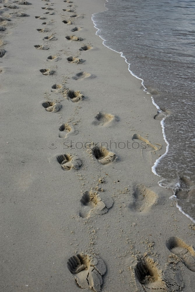 Similar – Image, Stock Photo footsteps Stride Beach