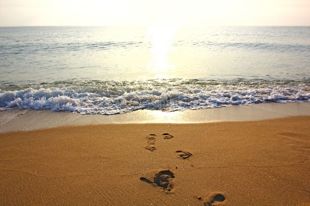 Similar – Carribean Footprints Beach