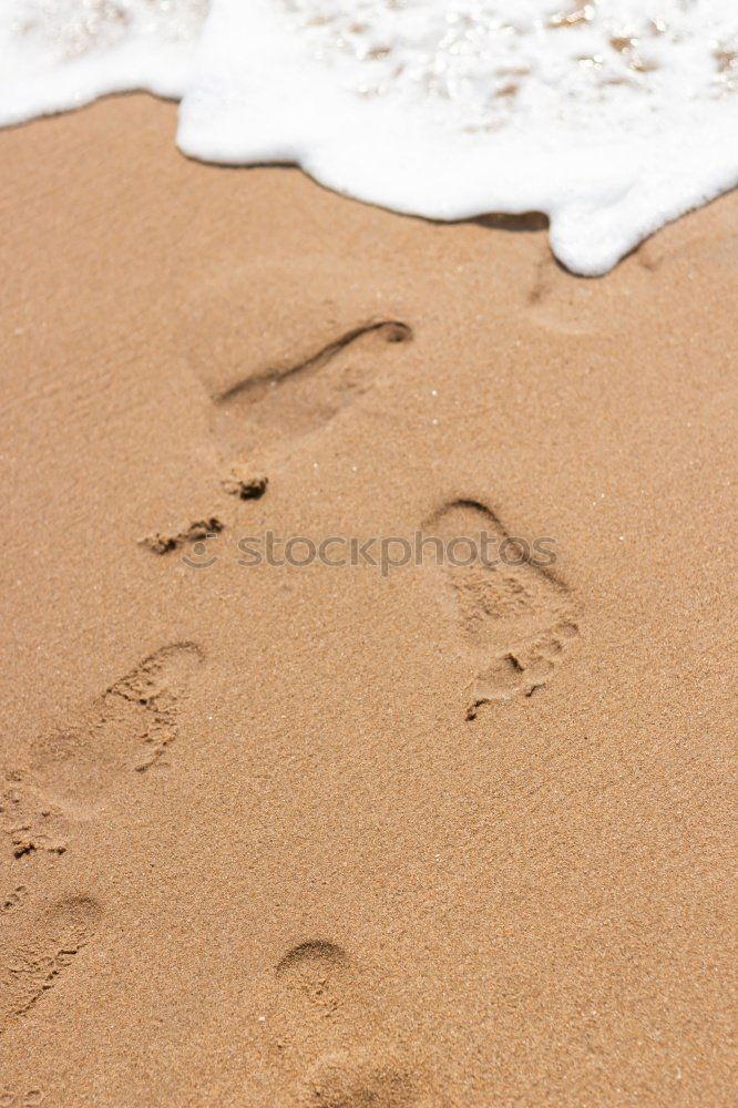 Feet in the sandy beach