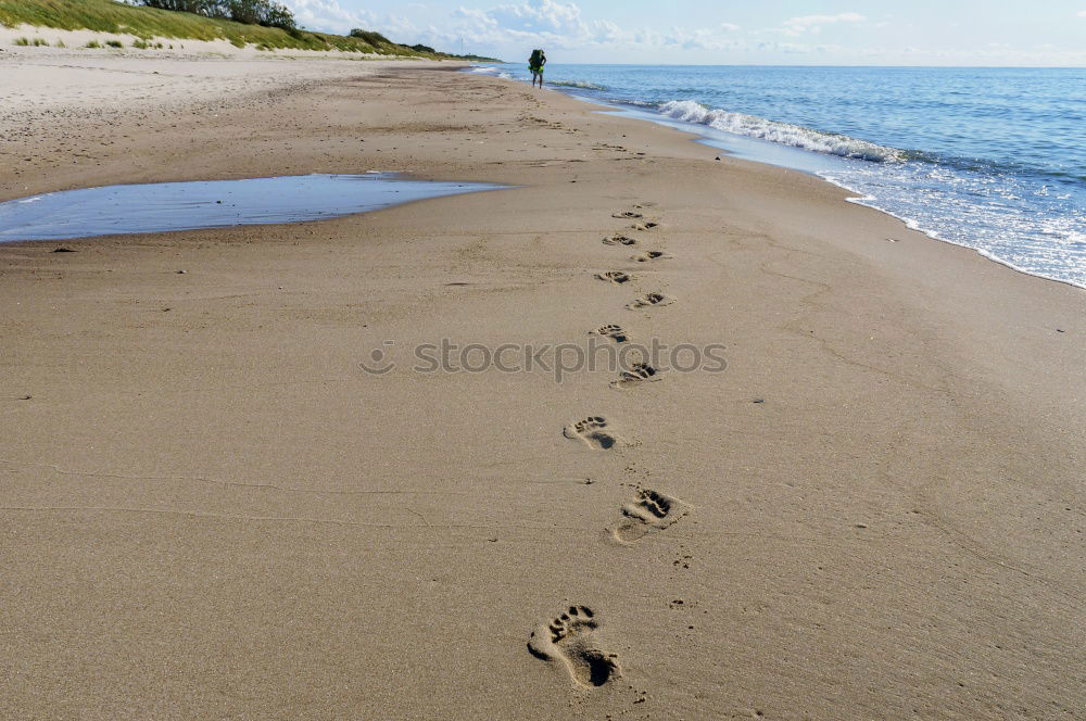 paradice path Sommer