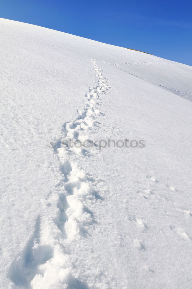 Similar – Image, Stock Photo Tracks in the snow