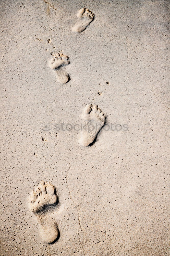 Similar – barefoot Feet Wet Barefoot