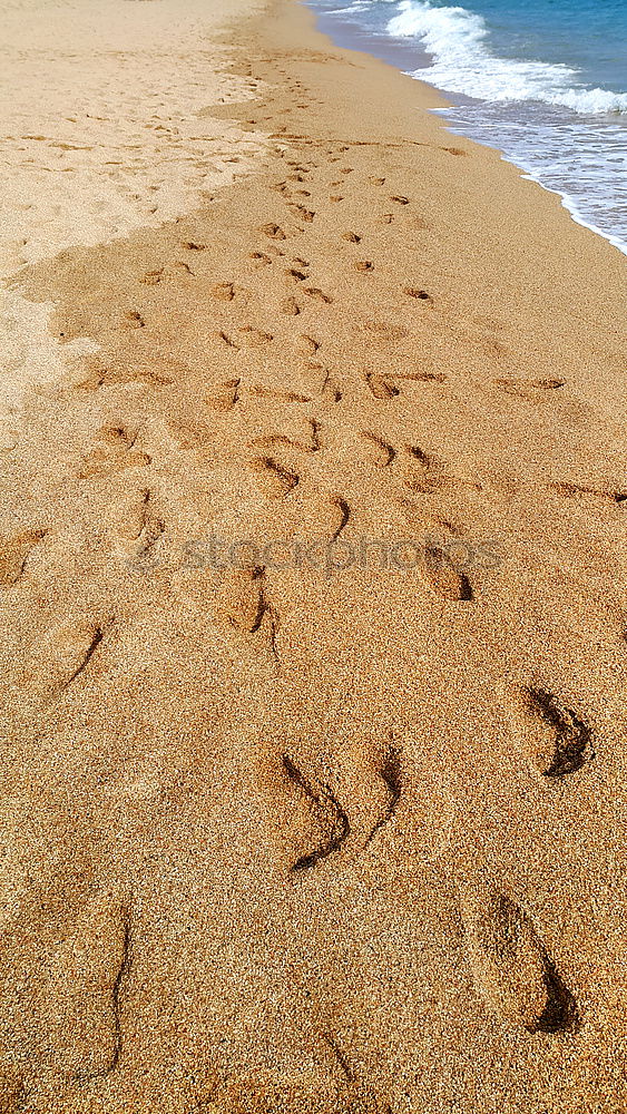 Traces in the sand Sand