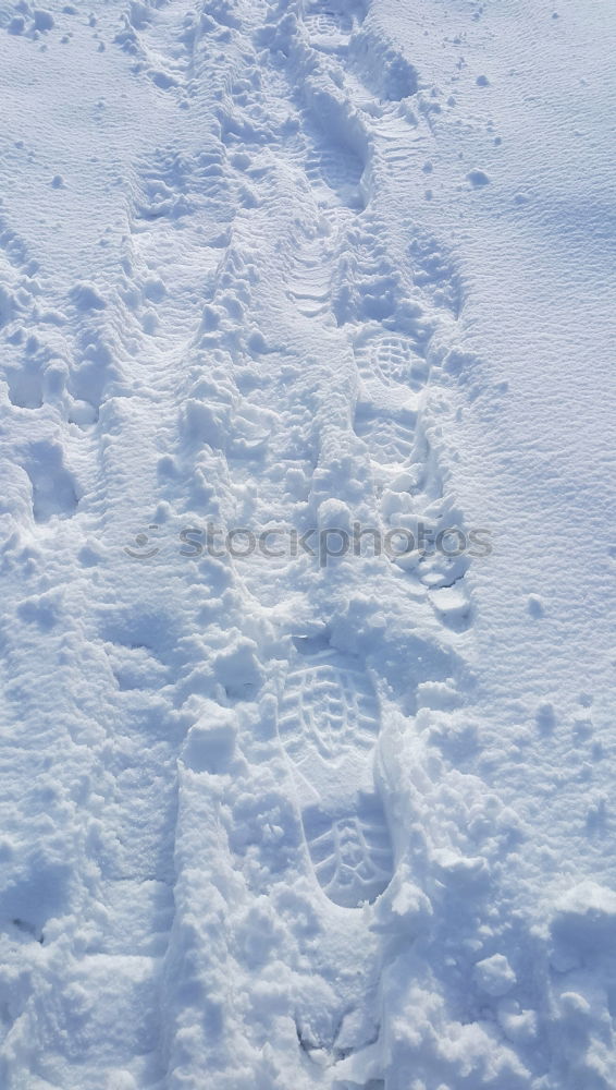 Similar – Foto Bild reifenspuren im schnee