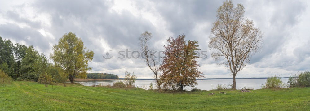 Similar – Foto Bild Bodenseepanorama Bregenz