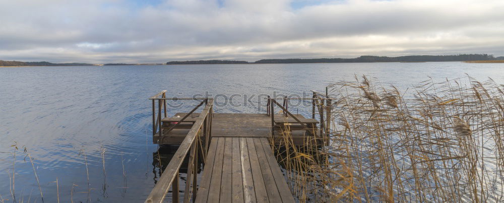 Similar – Image, Stock Photo spring lake Tree Lake Calm