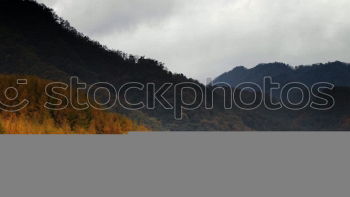 Similar – Image, Stock Photo rain drops Rain Reflection