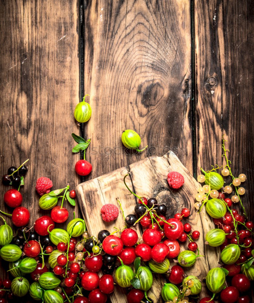 Similar – Image, Stock Photo Mulled wine cup and spices on rustic background