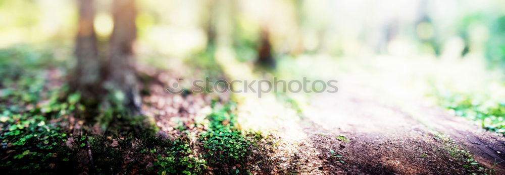 Similar – Image, Stock Photo retirement happiness