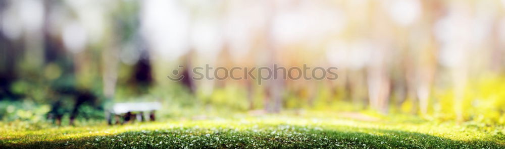 Similar – Image, Stock Photo hansguckindieluft